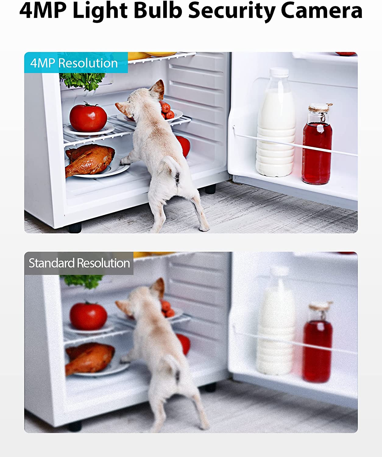 AINMO® | Light Bulb Camera